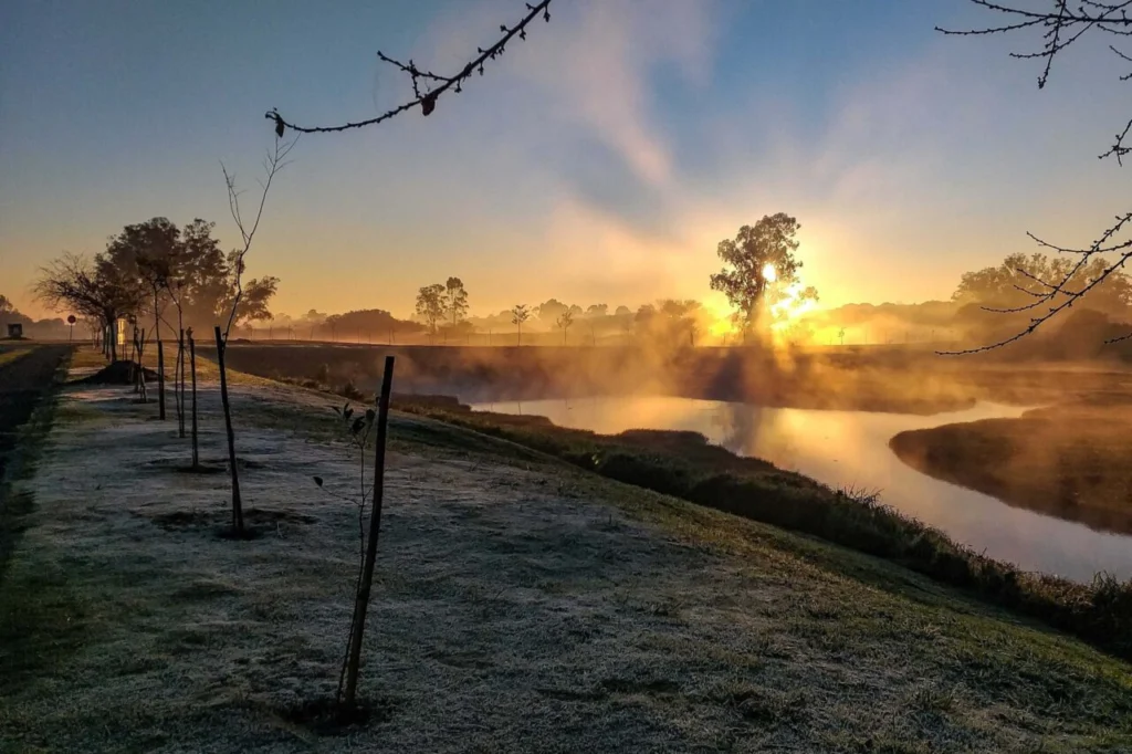 Primeira onda de frio do inverno vai derrubar temperaturas para -2°C no Paraná; veja quando